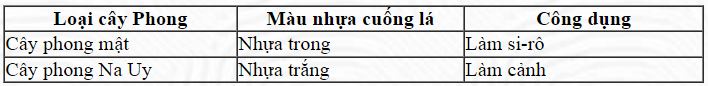 thaomocdungsanxuatduong 14