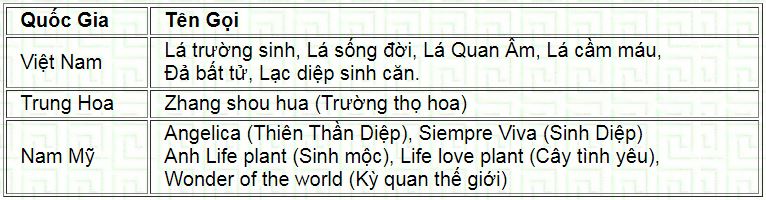 truongsanh