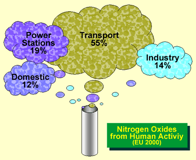 truyetcarbonnitrogen