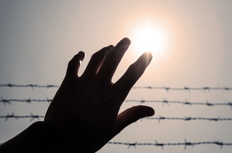 reeducationcamps