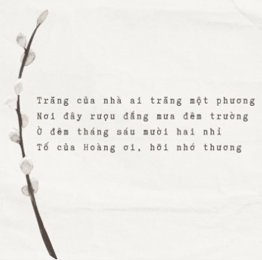 vuhoangchuong