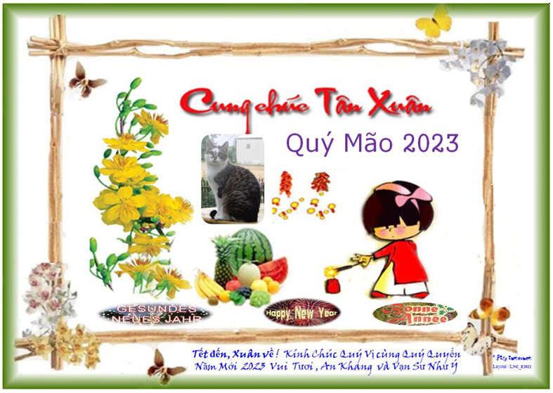 xuan con meo