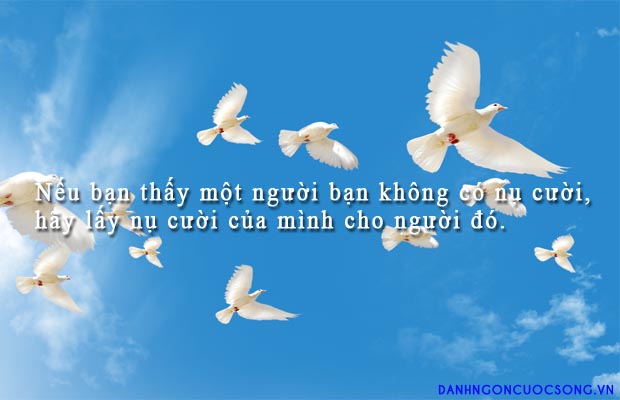 danhngontamhon73