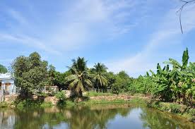 maytrang2
