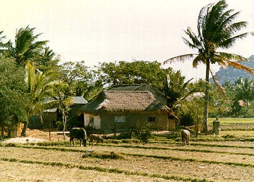 nhaque 1