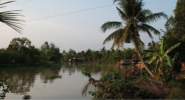 tambinh