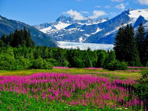 Alaska