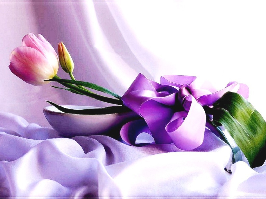 Many Flowers beautiful nature 22639893 1024 768