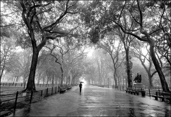 Nghe Si Duong Pho 2