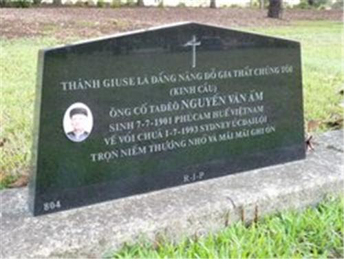 TTngo8