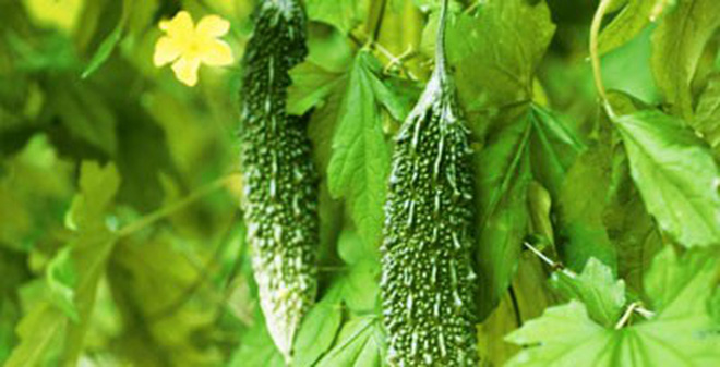 khoqua