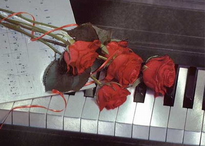 piano rose