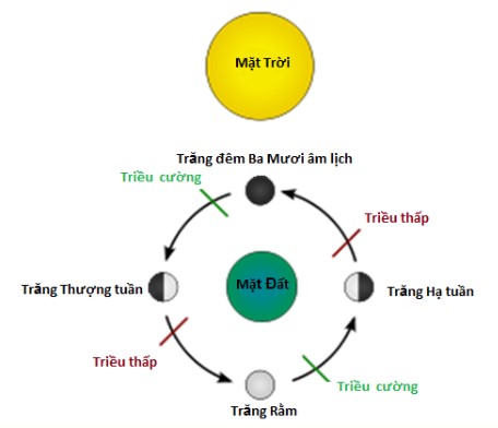 ThaiCongTung ThuyTrieu1