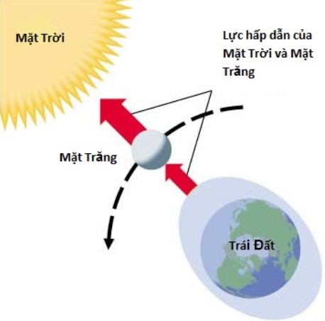 ThaiCongTung ThuyTrieu2