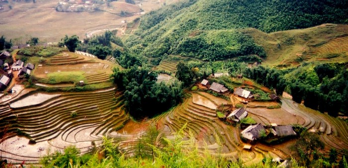 Tieng Viet