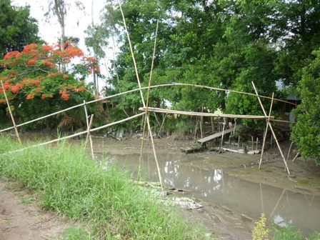 cau tre nam bo