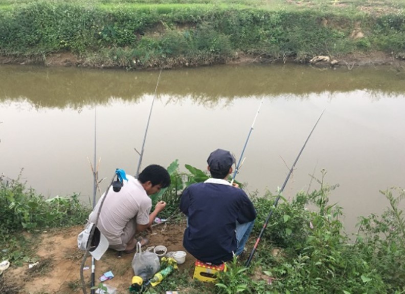 causongthao