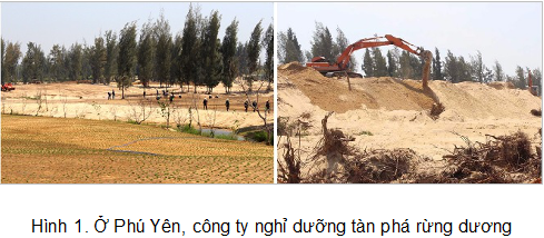 cong ty nghi duong tan pha rung duong