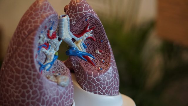 coronavirus lung 640x360