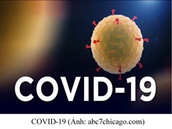 covidvuhan