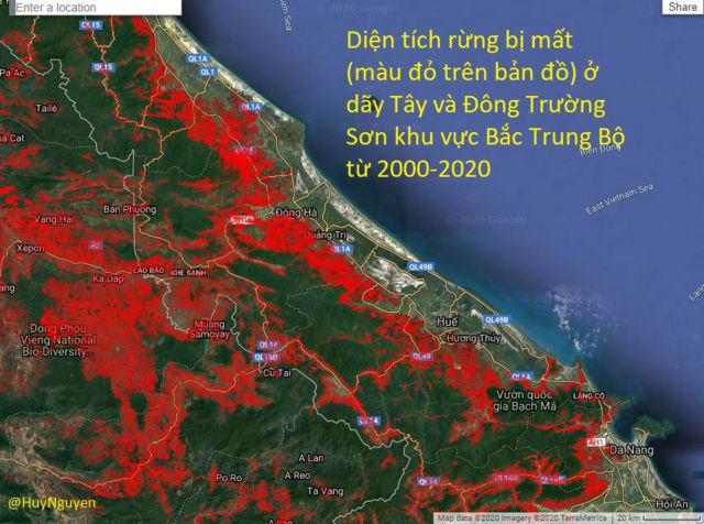 dien tich co mau do la rung nguyen sinh bi mat trong vong 20 nam qua