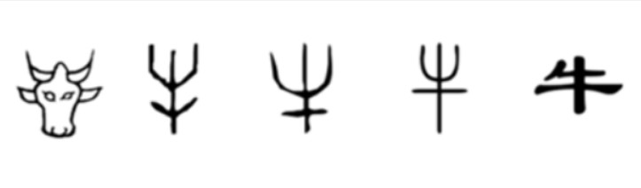 dochieuduccontrau