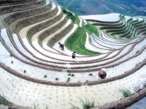 hagiang3