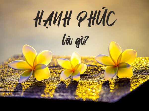 hanhphuc1 20190830125143