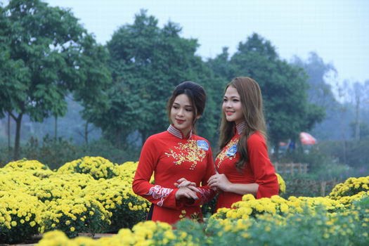 hanoi4