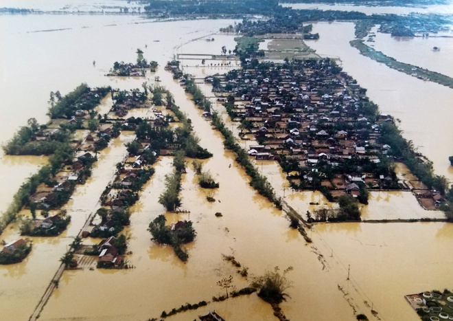 lulut1999