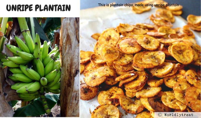 plantain