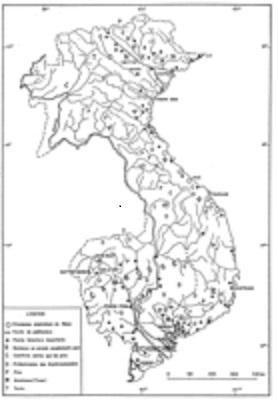 rung o dong duong vao khoang 1934