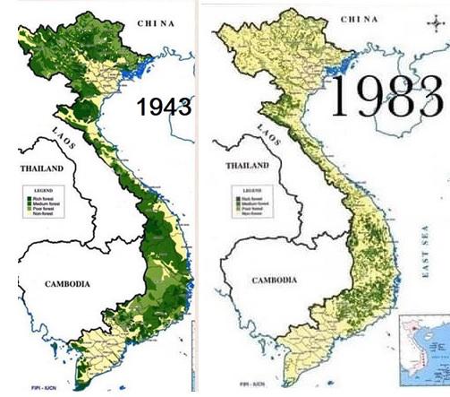 rung viet nam vao nam 1943 va 1987