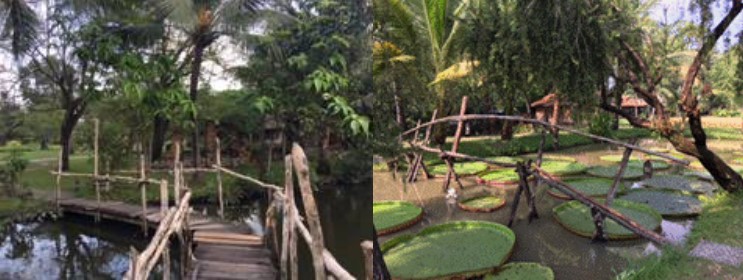 vatdung