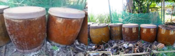 vatdung6