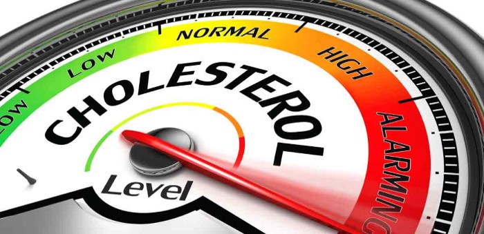 Cholesterol