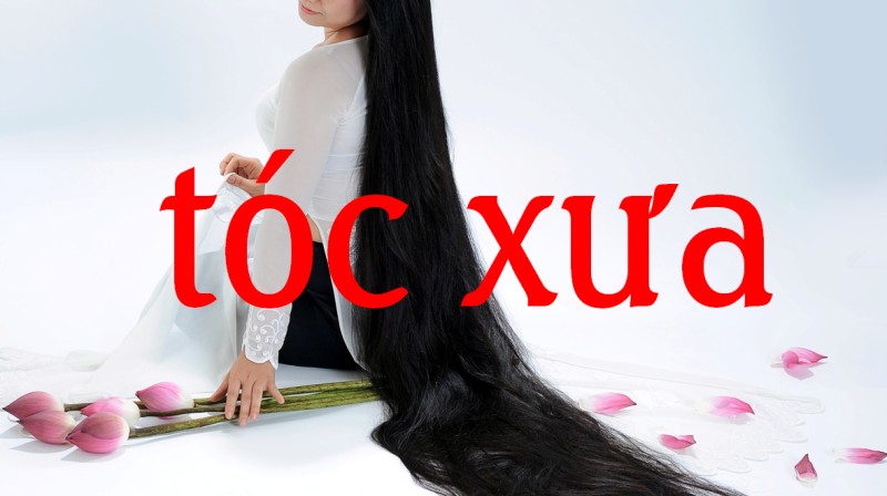 TocXua
