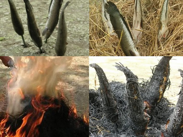 calocnuongtrui