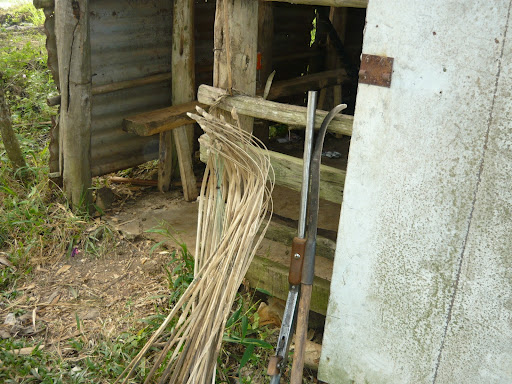 camcau2