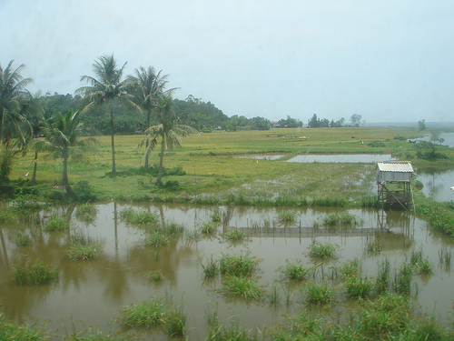datbung