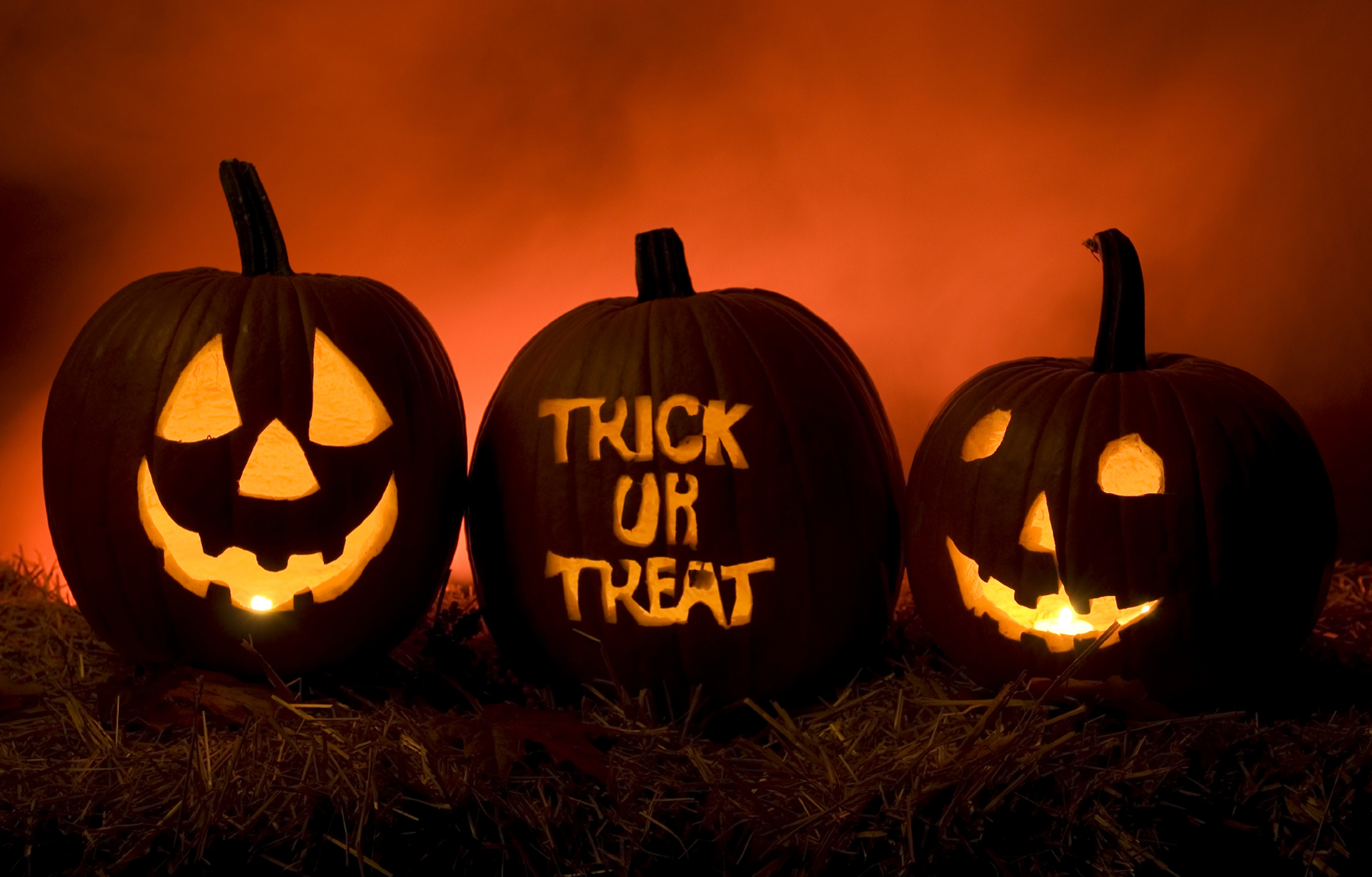 halloween 2
