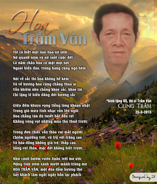 hoa tram van cung tram