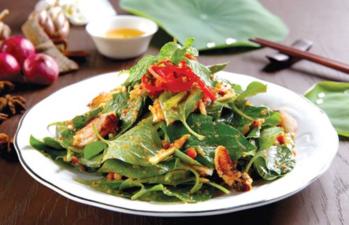 nham go cong vjph