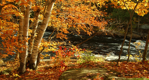 oxtongue rapids