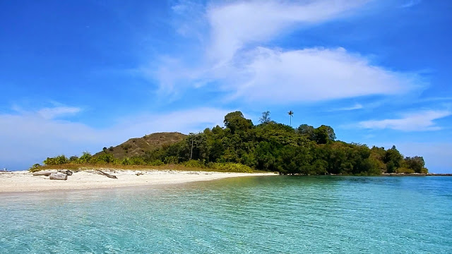 pulaukapas
