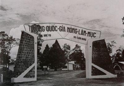 truongqglammuc