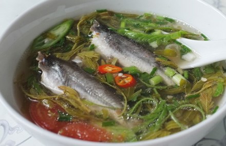 canhchua