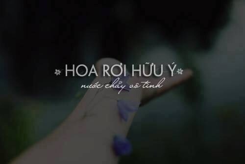 hoaroi