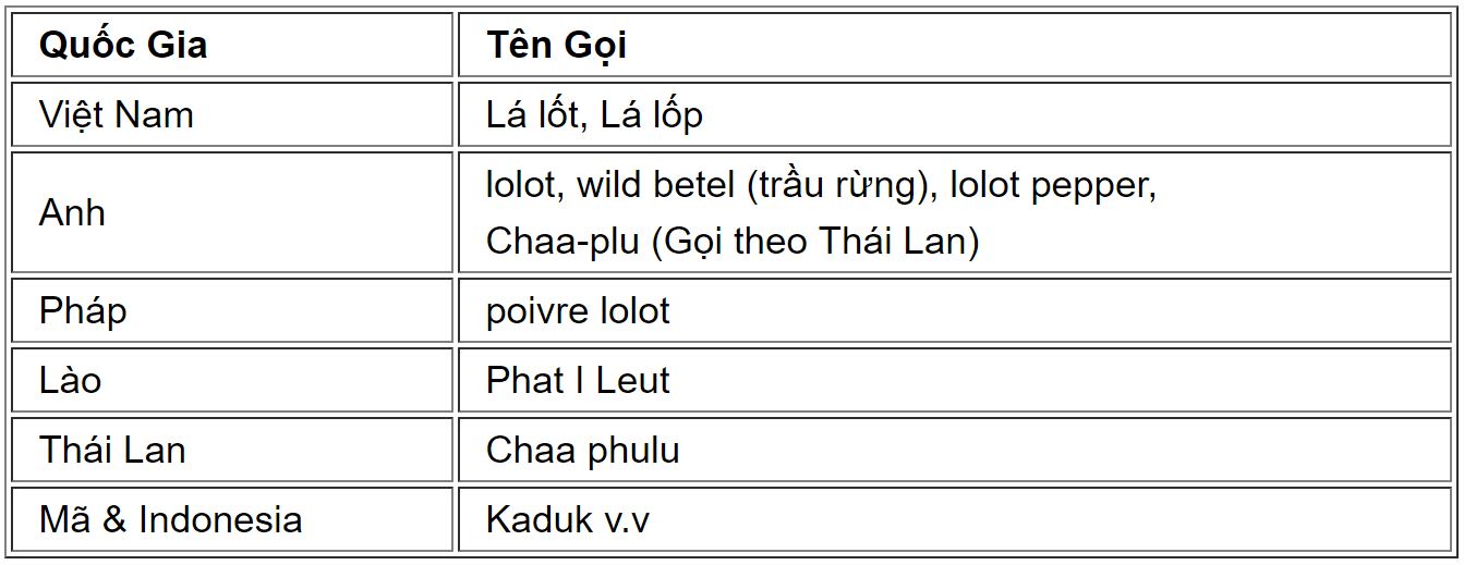 lalot1