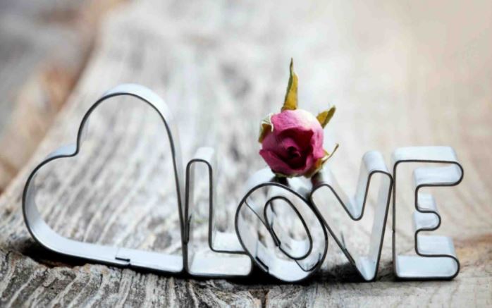 love
